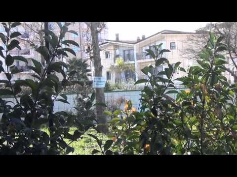 Aversa (CE) - Restituito alla Città lo standard di via Garofano (28.01.15)