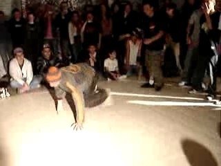 Mog battle cherbourg 03/03/07