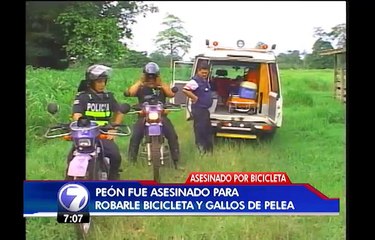 Robo de bicicleta y gallos de pelea sería el móvil del asesinato de un peón en Río Jiménez de Guácimo