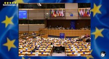 Piano Juncker, Valli (M5S): contro l'austerity solo a parole - MoVimento 5 Stelle
