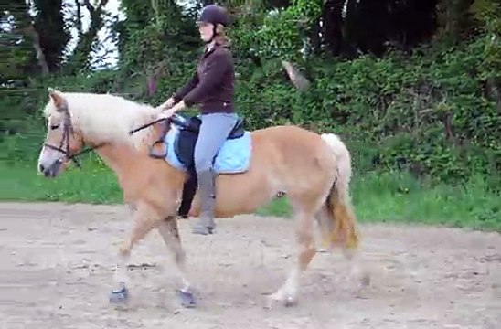 Kandie galop Mai 2011 bis