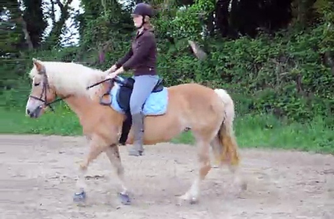 Kandie galop Mai 2011 bis