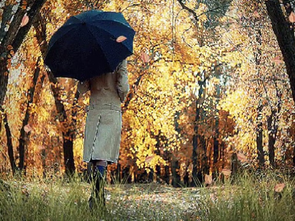 SEZEN AKSU-SENİ İSTİYORUM