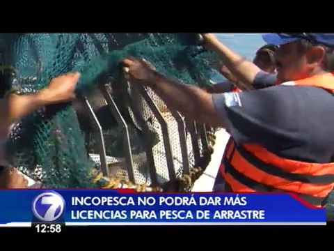 INCOPESCA no podrá renovar ni entregar más licencias para pesca de arrastre