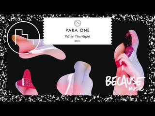 Para One - When The Night (Instrumental)
