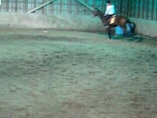 Moi au galop en cercle sur Misty