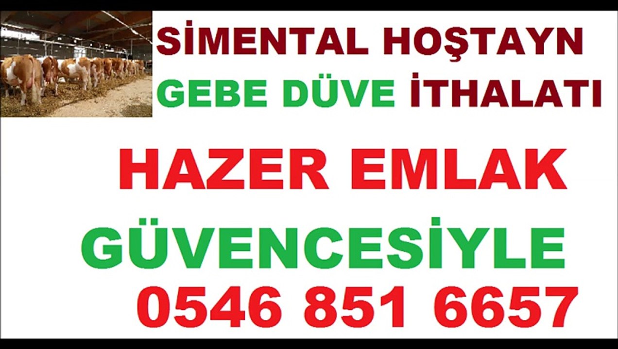 DÜVE İTHALATI - HAZER EMLAK ADAPAZARI