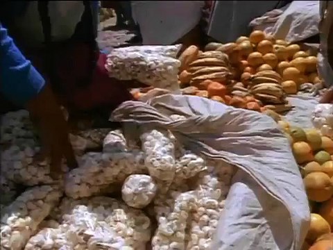 Incas, el secreto de los ancestros, Civilizaciones