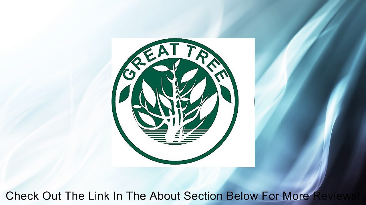 GreatTree Hot sale Double faced bicycle spoke light wind fire wheels silica gel spoke light steel wire lamp mountain bike wheel light,red (blue) Review