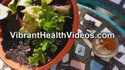 Detox Drink, Maca, Herbs, Star Fruit, Yum!