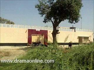 Specially dedicate to our perdesi dost.... must watch