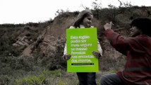 Floresta faz a diferença, NOVO CÓDIGO FLORESTAL