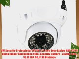 GW Security Professional 700TVL 1/3 Inch Sony Exview HAD CCD II Dome Indoor Surveilance Video