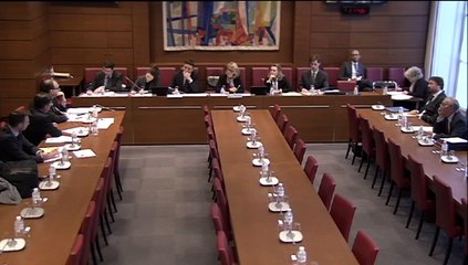 Audition de M. Nicolas Dufourcq, Dg BpiFrance - Jeudi 29 Janvier 2015