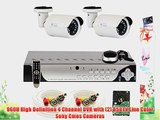 GW Security 4 Channel 960H Security Camera DVR CCTV System with 2 x 850 TVL Cameras and Pre-Installed