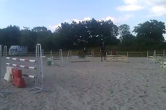 A vendre Jument 7 ans SF. Origine: bleuc blanc rouge/ urbain du monnai N°2