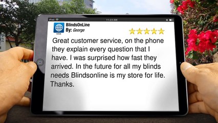 BlindsOnLine.com        Excellent         Five Star Review by George