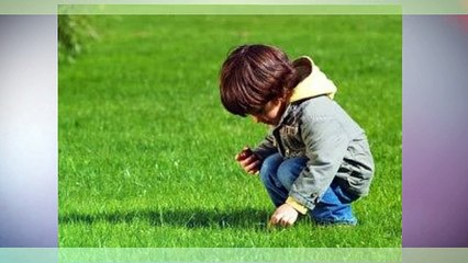 Atlantic Pest Control LLC (712) 243-6900