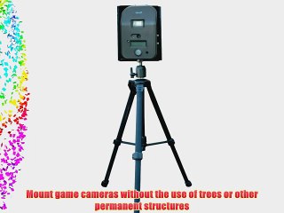 Wingscapes Universal BirdCam Tripod