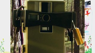 Wildview Camera Locking Bracket