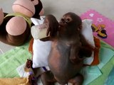 Un bébé singe adorable boit au biberon tout seul!