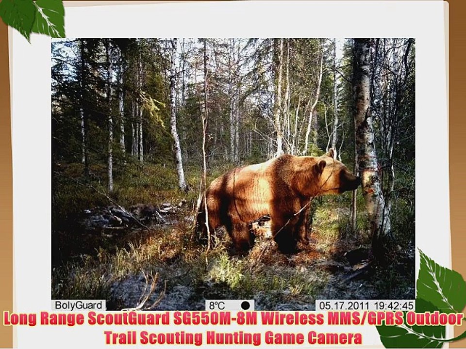 Long Range ScoutGuard SG550M-8M Wireless MMS/GPRS Outdoor Trail Scouting Hunting Game Camera
