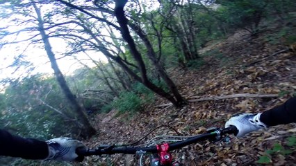 Cro'rois team à pierrefeu