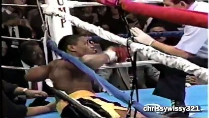 Mike Tyson Knockouts Collection