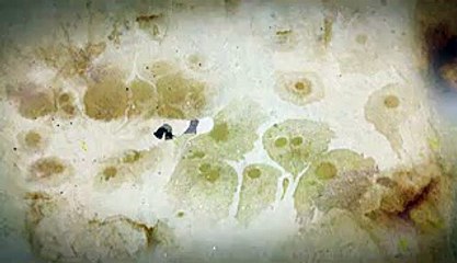 가장80 용산풀사롱가격할인예약하고 200% 즐달하는 방법금천풀사롱가격할인 전남이TSM