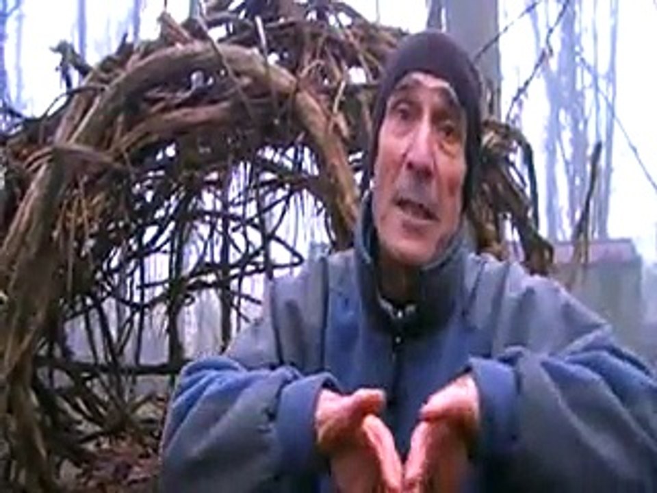 159.Louis la nature en ville, la nature par la fenêtre par Louis Espinassous