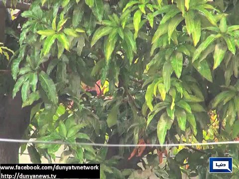 Dunya news- Cold, dry weather expected in most parts of the country