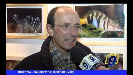 MOLFETTA | Inaugurato il Museo del Mare