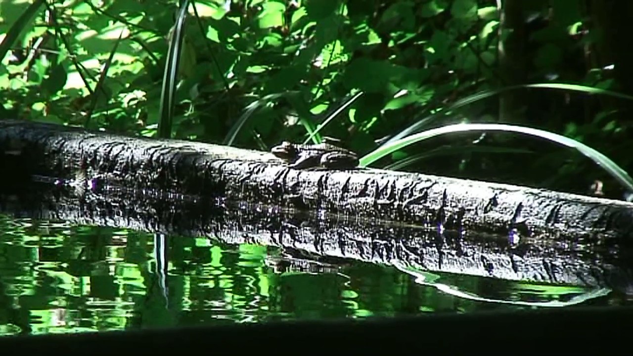 Quel urbanisme pour l' Entre deux Mers?