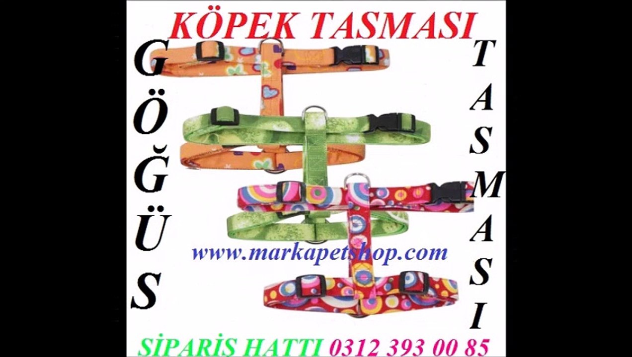 gezdirme tasmaları fiyatları,köpek gezdirme tasması ankara,köpek gezdirme tasması İstanbul,KÖPEK GEZDİRME TASMASI