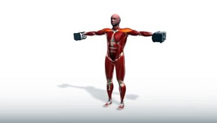 Workout Manager - PowerBlock Lateral Raise - Standing (Shoulders Exercises)