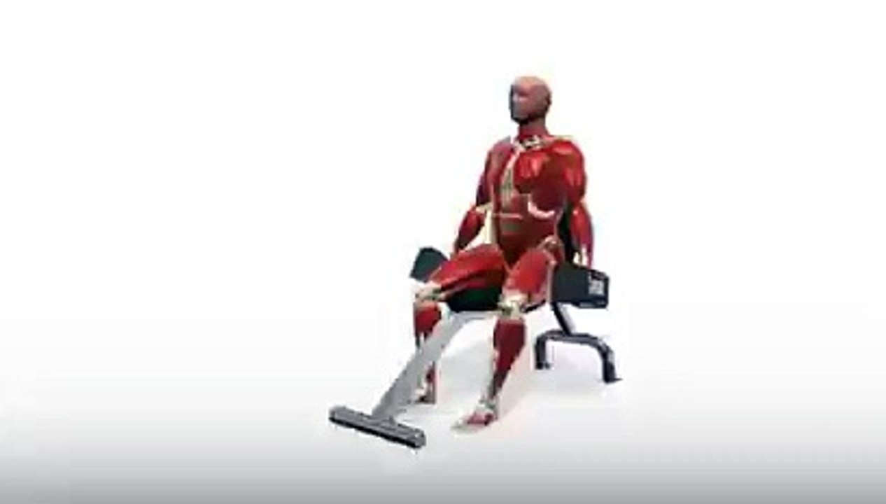 Workout Manager - PowerBlock Lateral Raise - Seated (Shoulders Exercises)