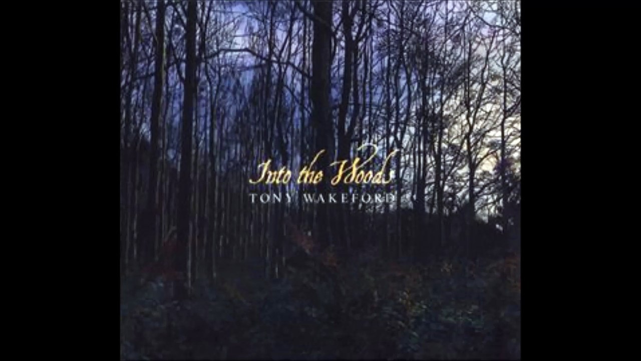 Tony Wakeford - Lightning Strikes