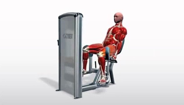 Workout Manager - Seated Machine Hip Abductions (Buttocks Exercises)