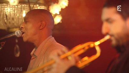 Alcaline, le Mag : Ibrahim Maalouf et Oxmo Puccino - Les Conseils d'une Chenille en live