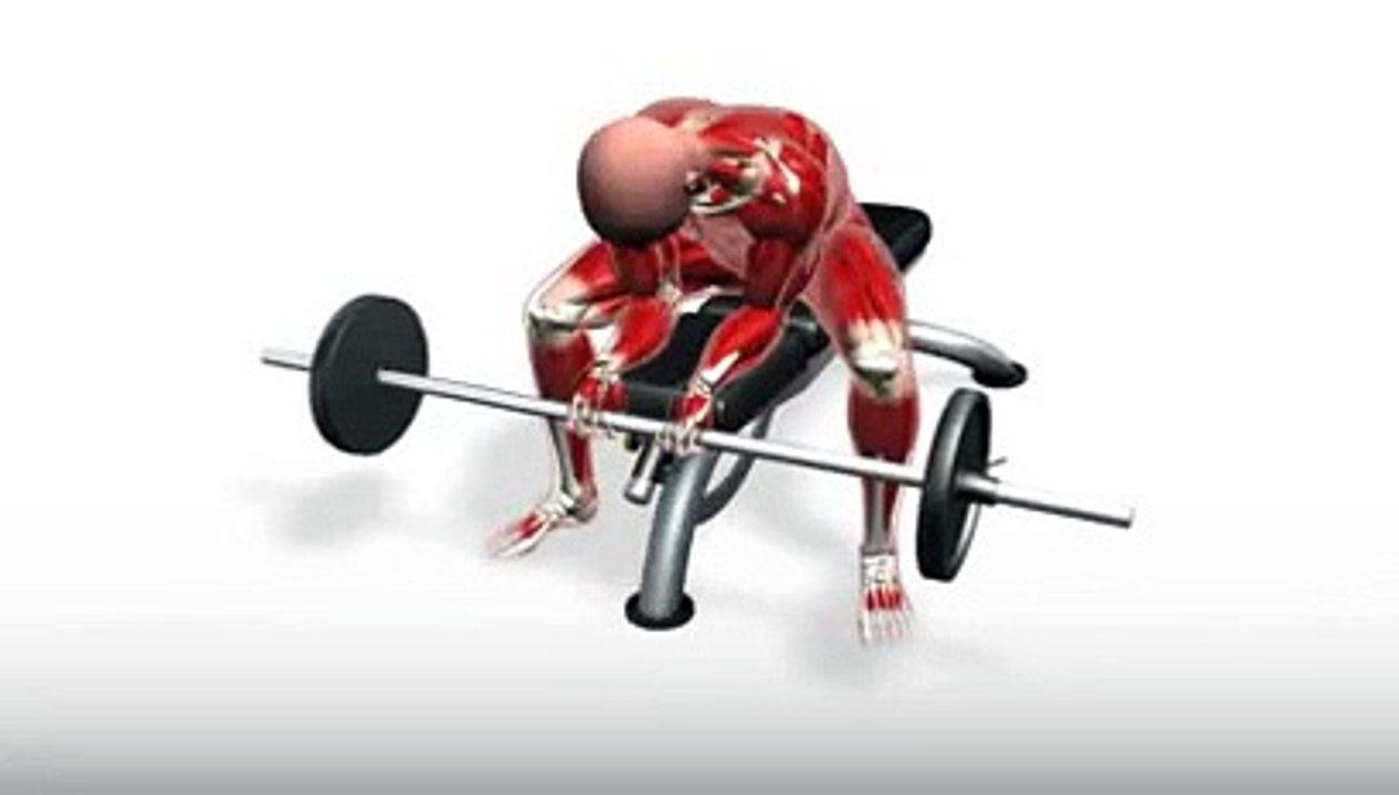 Workout Manager - Barbell Wrist Curl (Biceps Exercises)