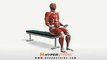 Workout Manager - Curl - Seated (Biceps Exercises)