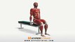 Workout Manager - Hammer Curl - Seated (Biceps Exercises)