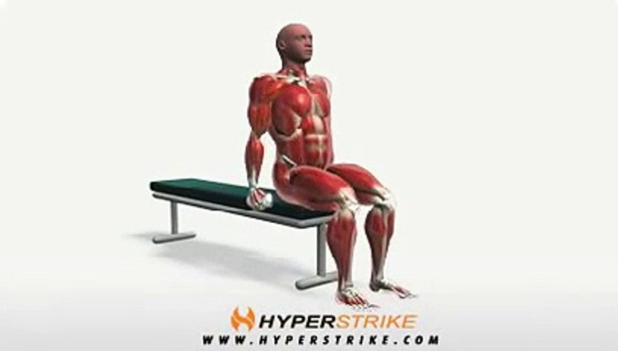 Workout Manager - Hammer Curl - Seated (Biceps Exercises)