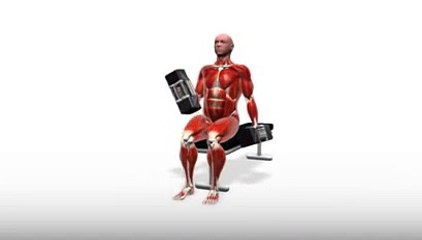 Workout Manager - PowerBlock Supinating Curl - Seated (Biceps Exercises)