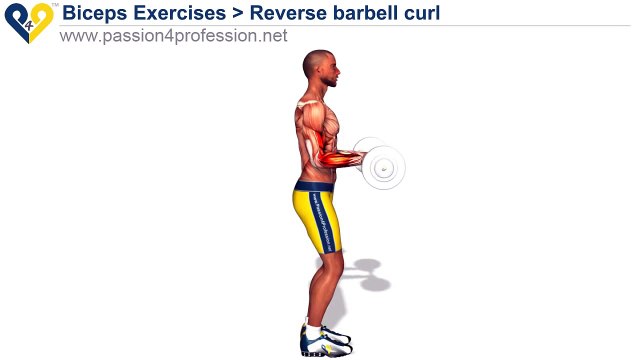 Workout Manager - Reverse Barbell Curls (Biceps Exercises)