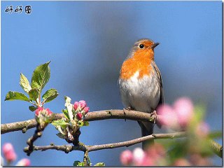 ياأهل المغنى - الفور إم