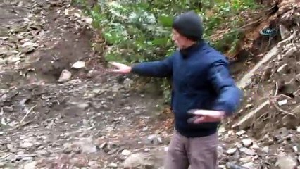 Bunun adı çevre katliamı