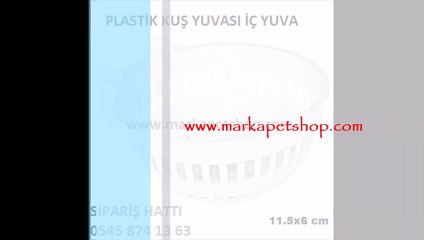 muhabbet kuş yavruluğu,muhabbet kuş yavrulukları