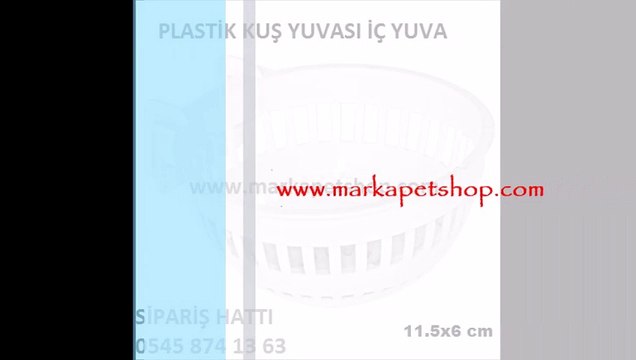 muhabbet kuş yavruluğu,muhabbet kuş yavrulukları