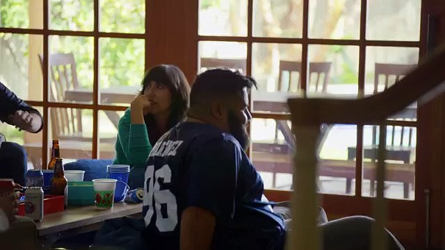 Pub Super Bowl 2015: Friskies, Dear Kitten